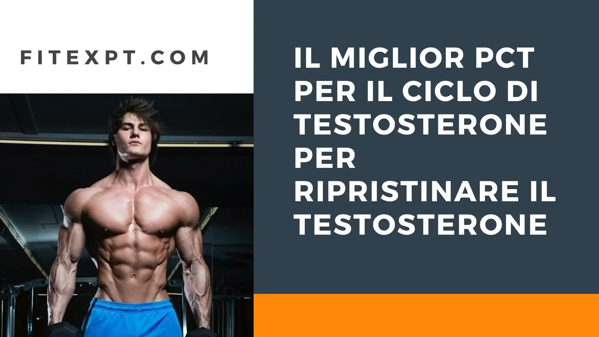 Il miglior PCT per il ciclo di testosterone per ripristinare il testosterone