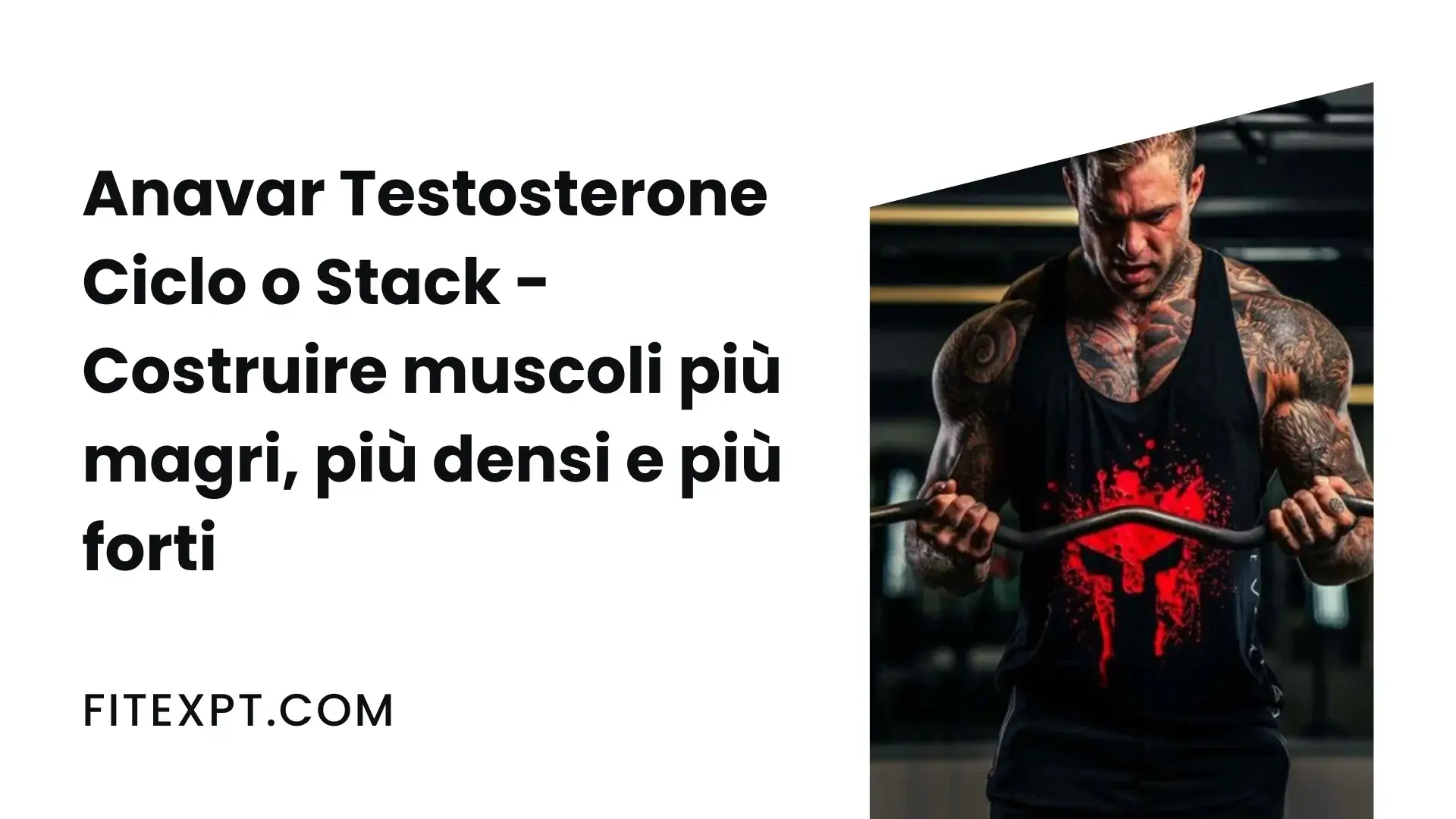 Anavar Testosterone Ciclo o Stack
