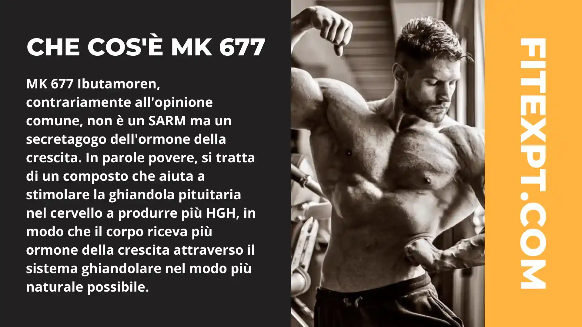MK 677 Dosaggio